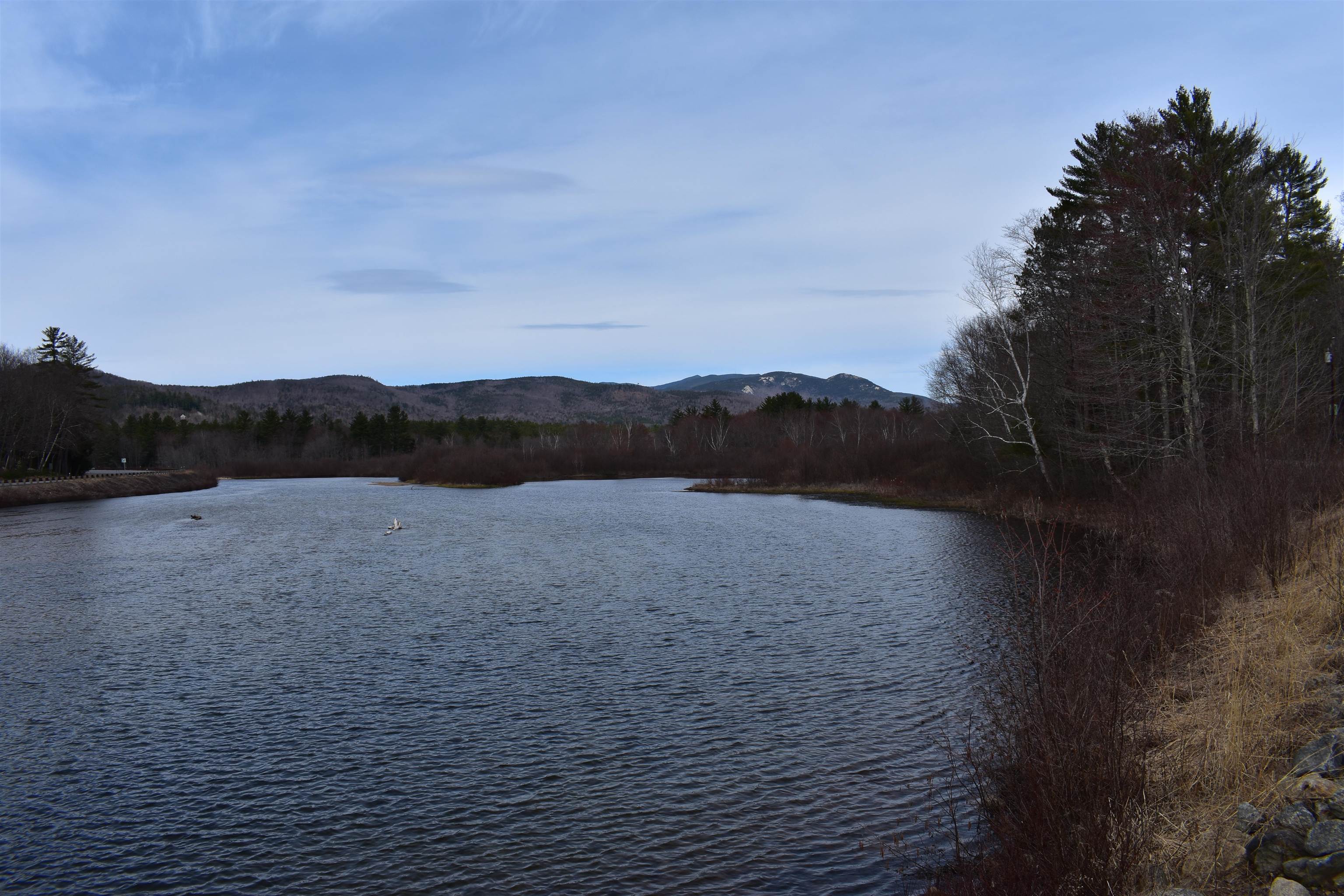 22 Orris Road, Unit 4 Thornton, NH 03285 - Photo 32 of 32