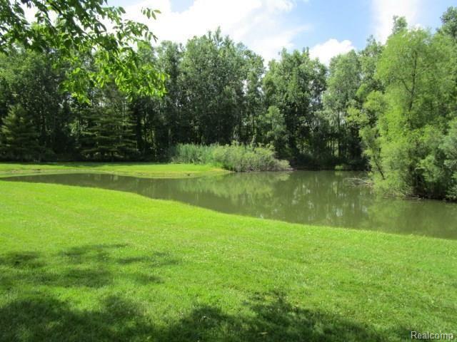 10382 Horton Road Goodrich, MI 48438 - Photo 63 of 72 IMG_5790.JPG