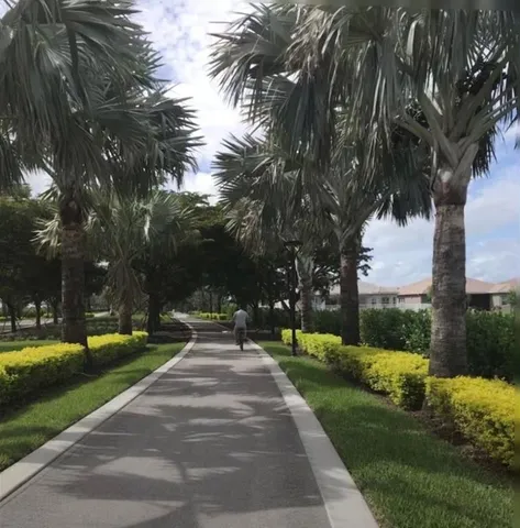 a green field with lots of palm trees