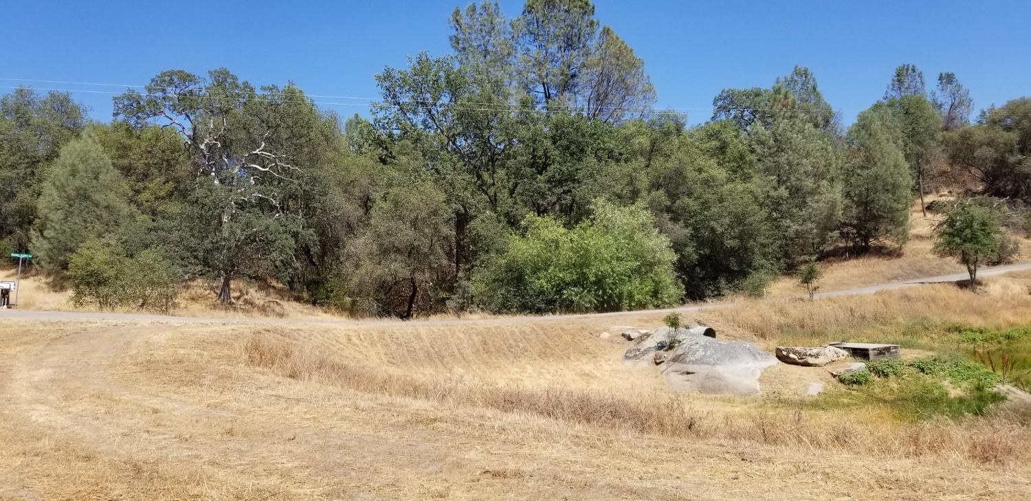 1 Hidden Valley Road Mariposa, CA 95338 - Photo 16 of 26 Gallery Image 16