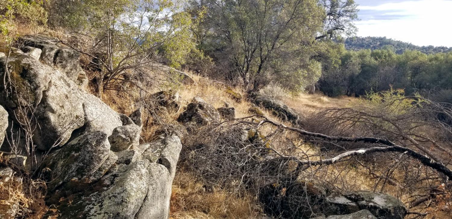 1 Hidden Valley Road Mariposa, CA 95338 - Photo 20 of 26 Gallery Image 20