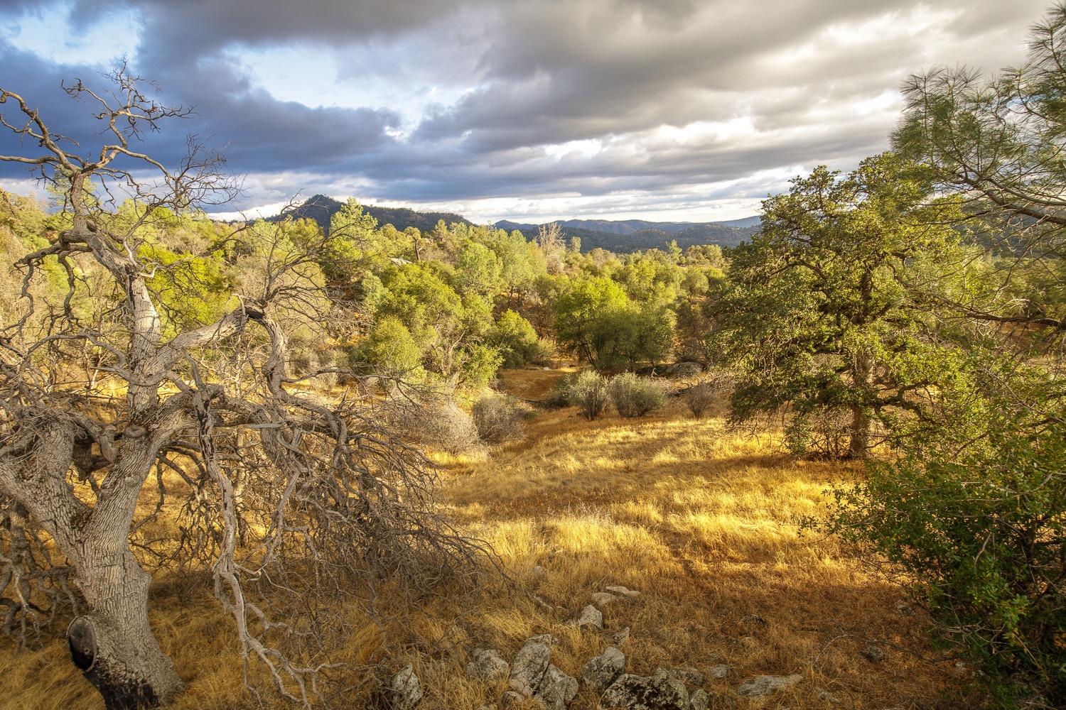 1 Hidden Valley Road Mariposa, CA 95338 - Photo 23 of 26 Gallery Image 23