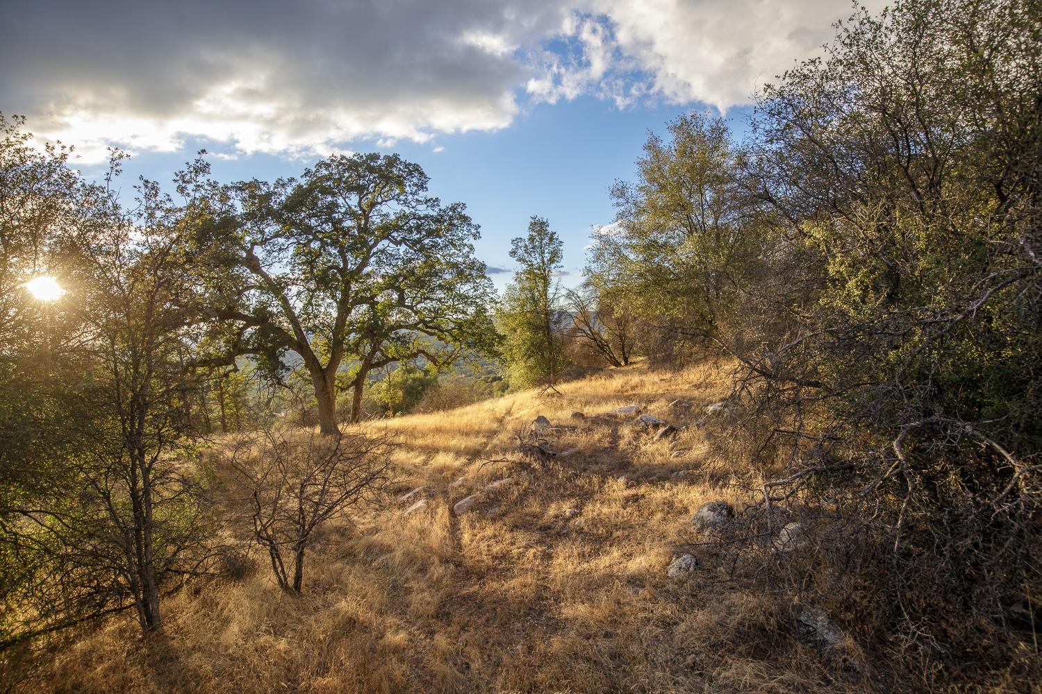 1 Hidden Valley Road Mariposa, CA 95338 - Photo 26 of 26 Gallery Image 26