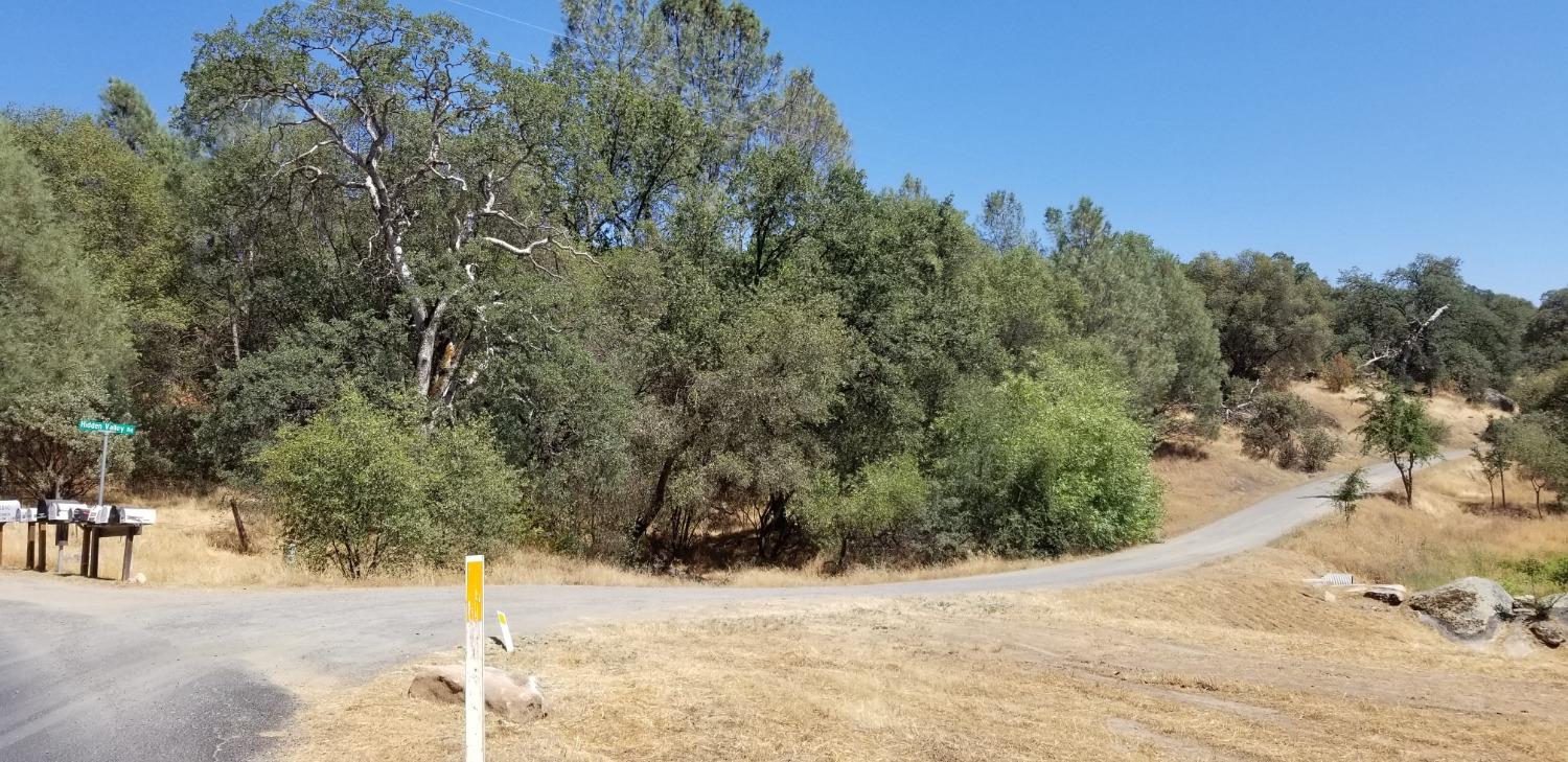 1 Hidden Valley Road Mariposa, CA 95338 - Photo 4 of 26 Gallery Image 4