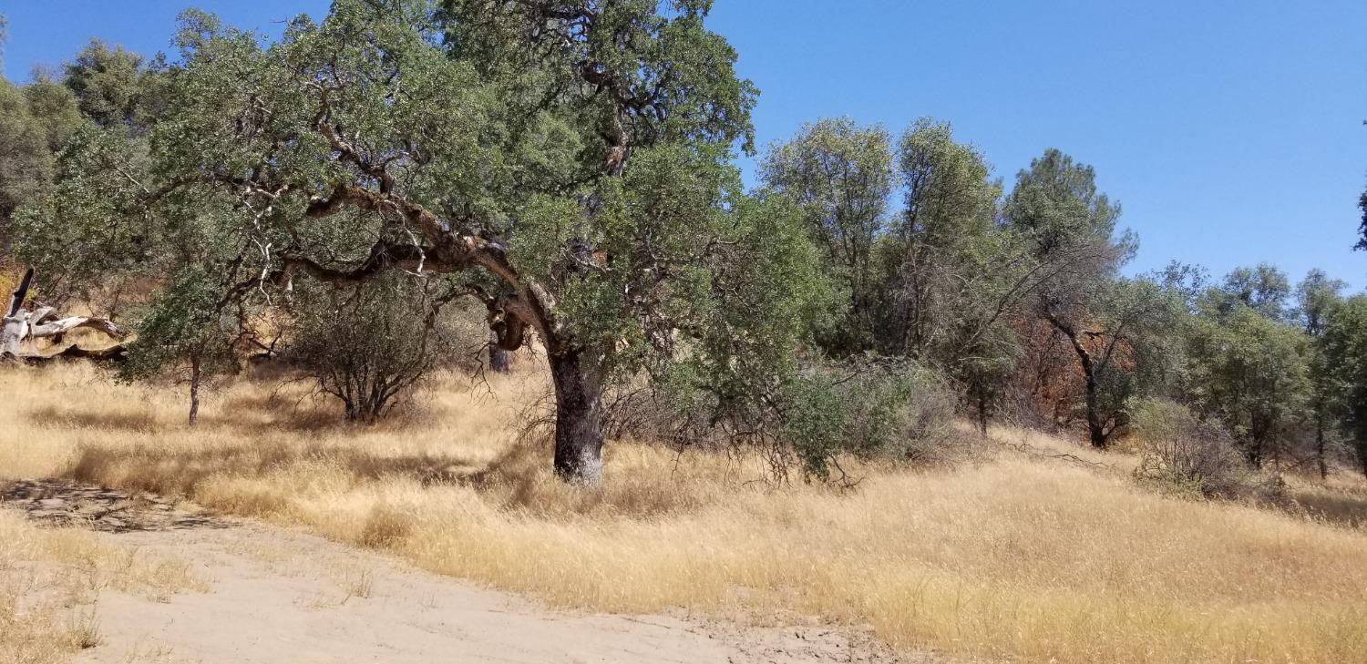 1 Hidden Valley Road Mariposa, CA 95338 - Photo 8 of 26 Gallery Image 8