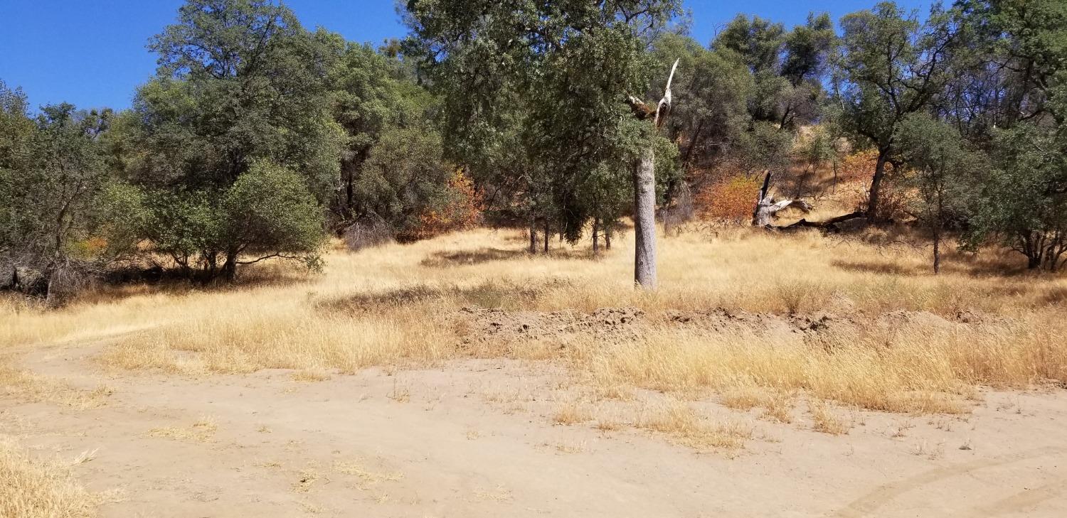 1 Hidden Valley Road Mariposa, CA 95338 - Photo 9 of 26 Gallery Image 9
