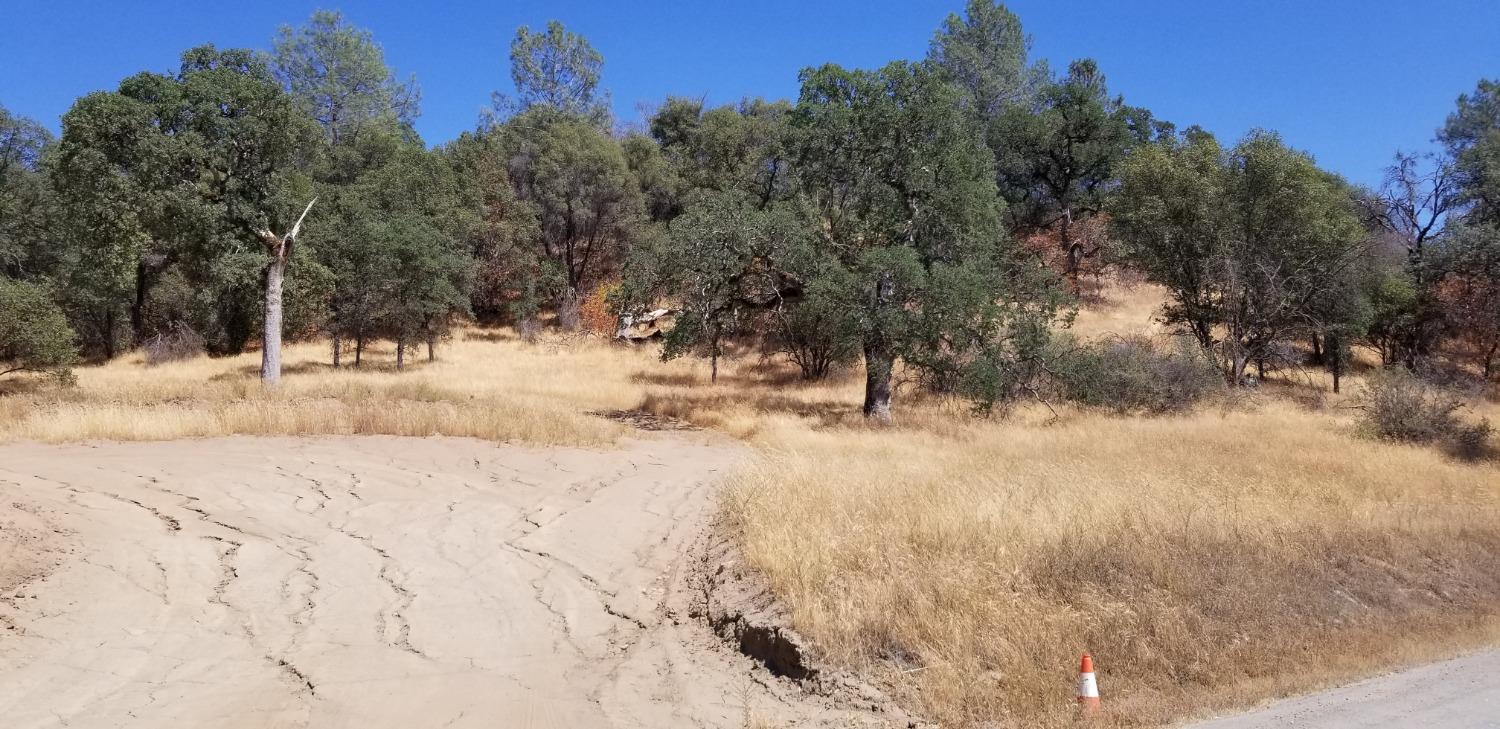 1 Hidden Valley Road Mariposa, CA 95338 - Photo 10 of 26 Gallery Image 10
