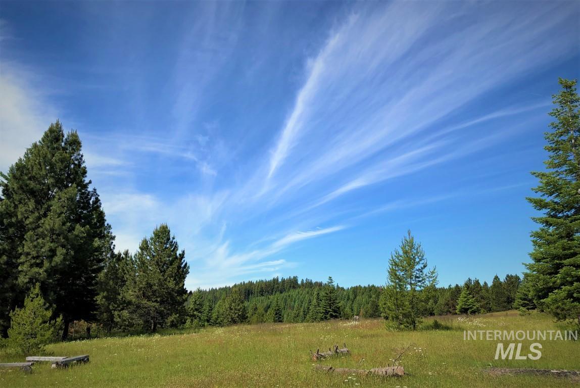 5 Hungry Ridge Road Grangeville, ID 83530 - Photo 23 of 24