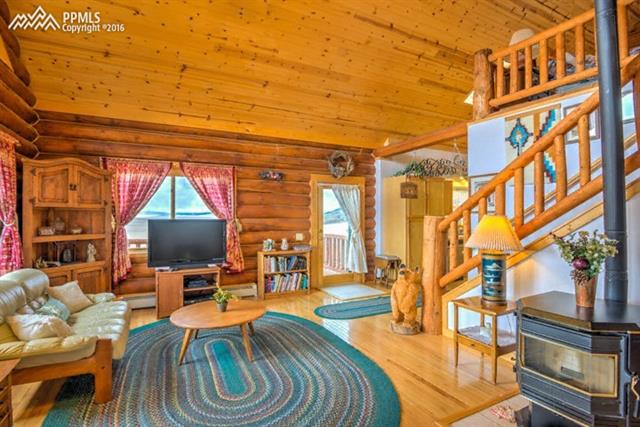 1192 Puma Hills Road Lake George, CO 80827 - Photo 2 of 29 Gallery Image 2
