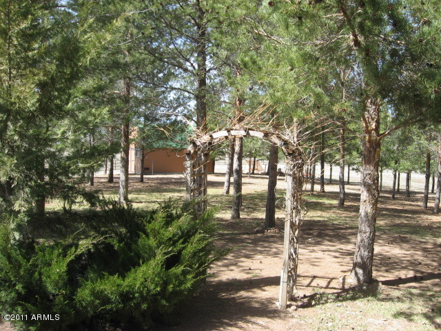 264 Mail Trail Road Young, AZ 85554 - Photo 43 of 54 back yard