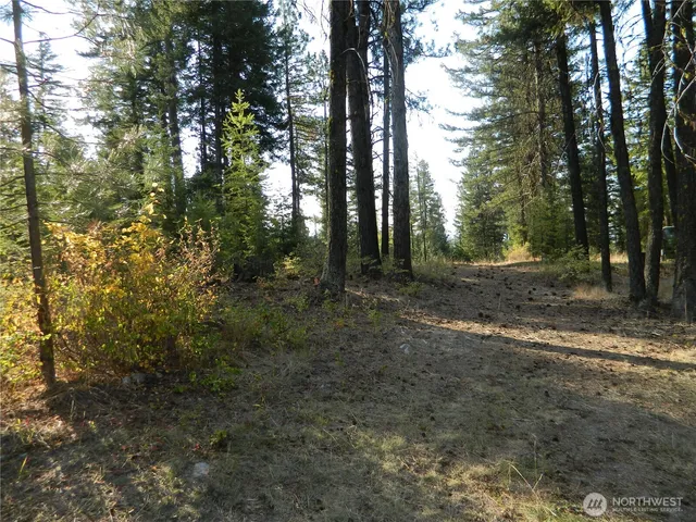 $34,000 | 1111 Tbd Rone Road, Tonasket, WA 98855