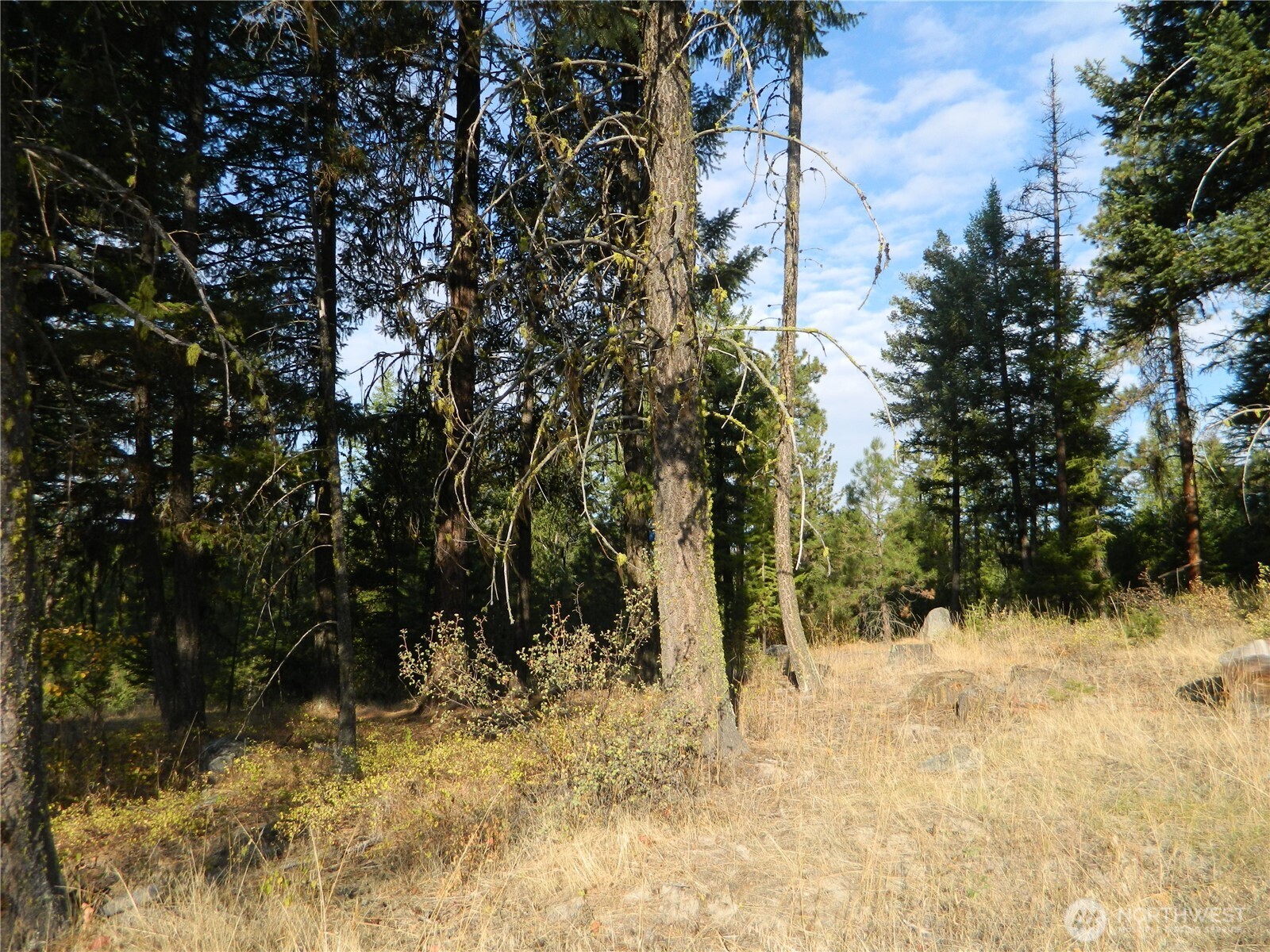 1111 Tbd Rone Road Tonasket, WA 98855 - Photo 11 of 15