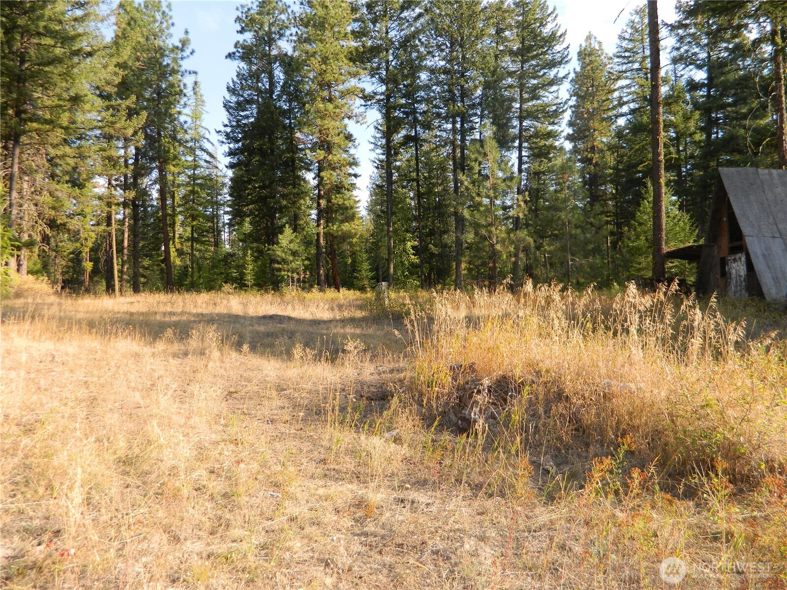 1111 Tbd Rone Road Tonasket, WA 98855 - Photo 12 of 15