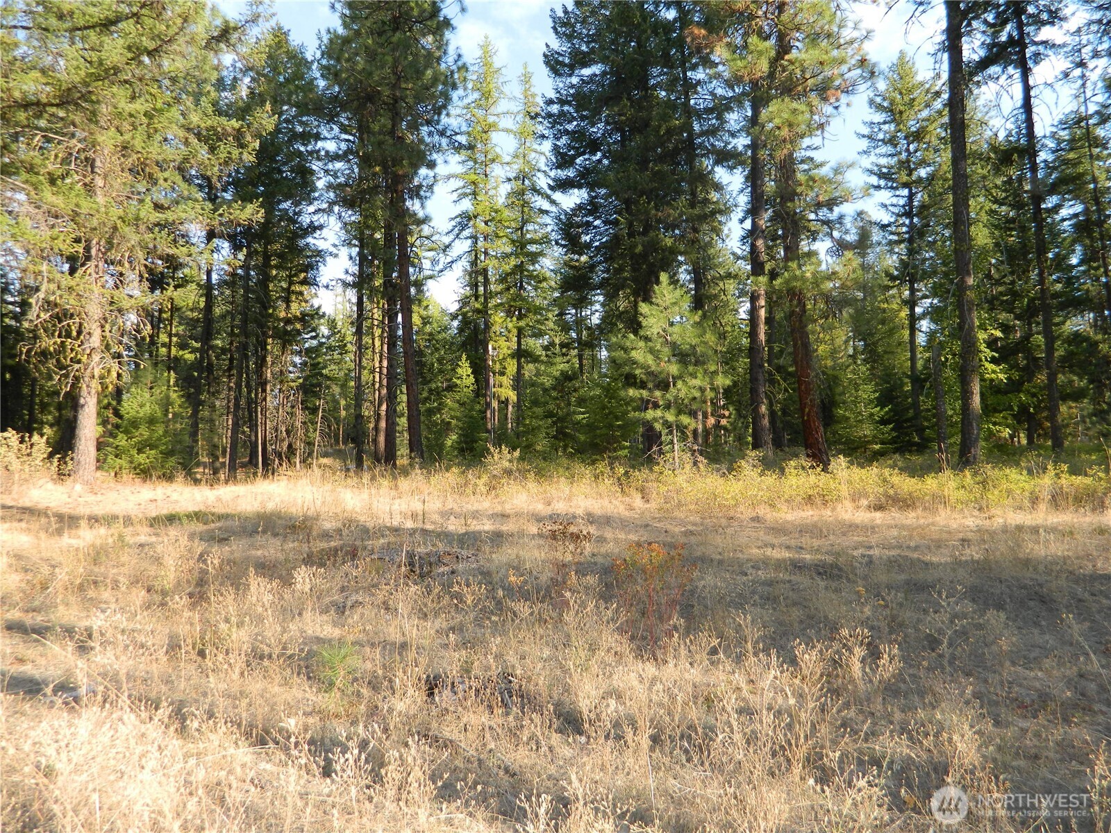 1111 Tbd Rone Road Tonasket, WA 98855 - Photo 13 of 15