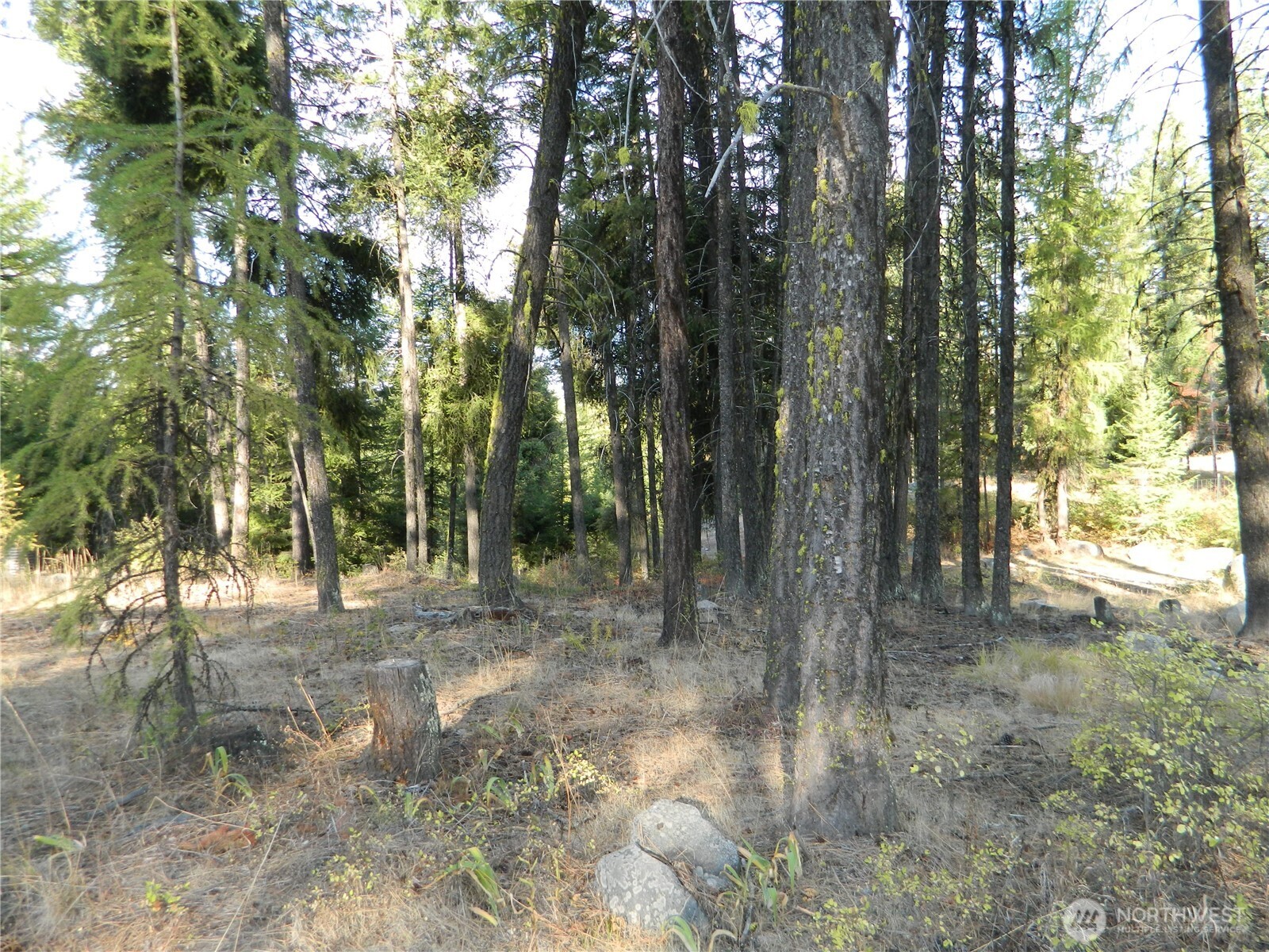 1111 Tbd Rone Road Tonasket, WA 98855 - Photo 15 of 15