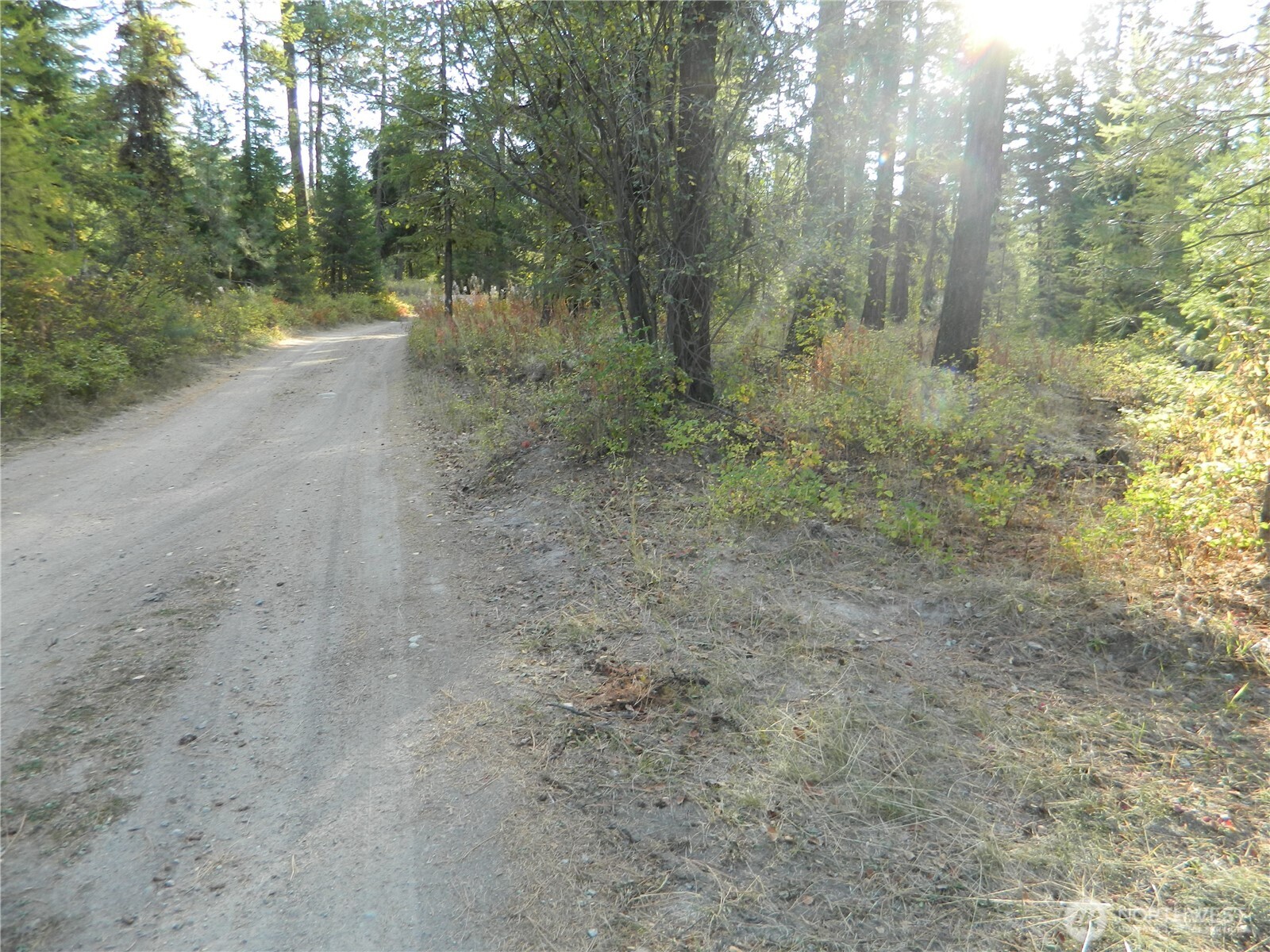 1111 Tbd Rone Road Tonasket, WA 98855 - Photo 3 of 15