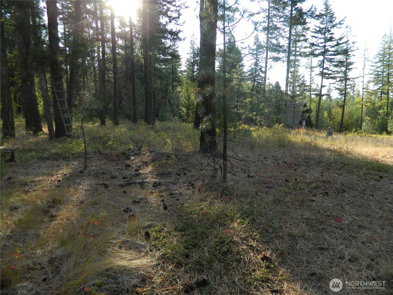 1111 Tbd Rone Road Tonasket, WA 98855 - Photo 4 of 15