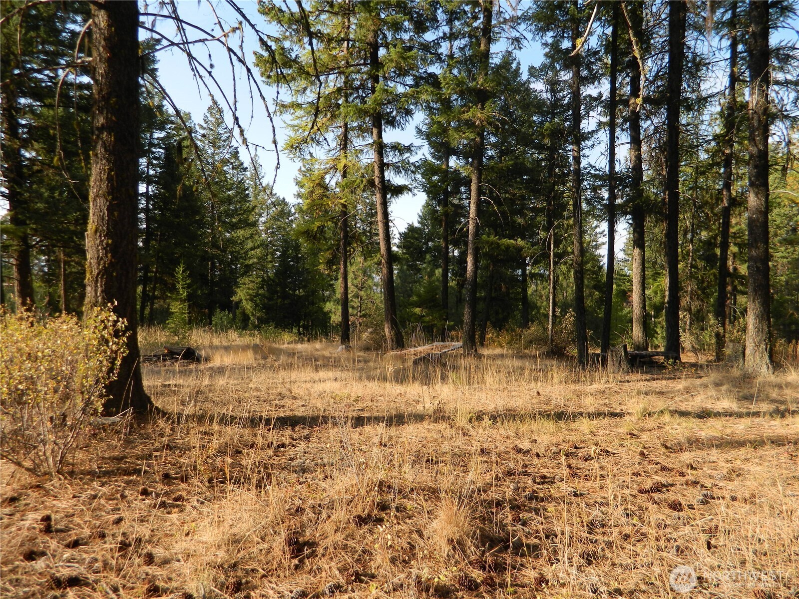 1111 Tbd Rone Road Tonasket, WA 98855 - Photo 5 of 15