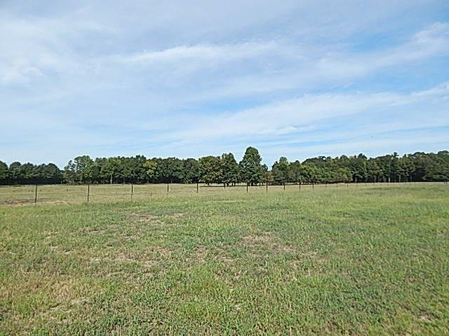 0 Slade Road Lena, MS 39094 - Photo 14 of 40 Photo 14