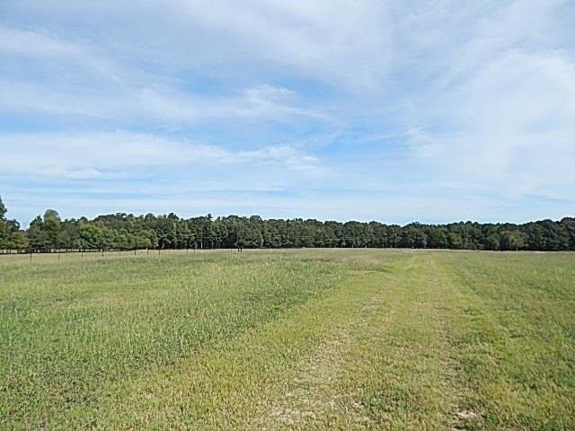 0 Slade Road Lena, MS 39094 - Photo 16 of 40 Photo 16