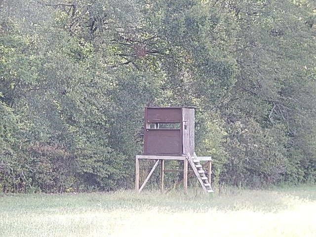 0 Slade Road Lena, MS 39094 - Photo 2 of 40 Photo 2