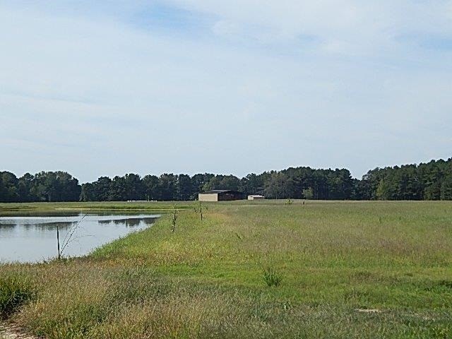0 Slade Road Lena, MS 39094 - Photo 25 of 40 Photo 25