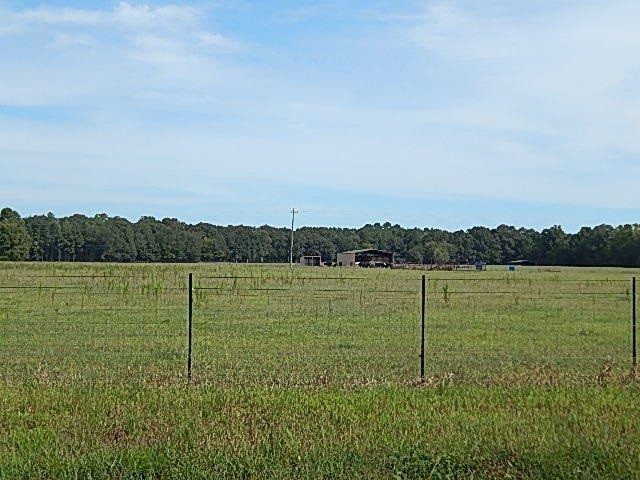 0 Slade Road Lena, MS 39094 - Photo 30 of 40 Photo 30