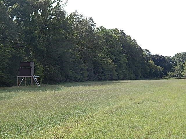 0 Slade Road Lena, MS 39094 - Photo 3 of 40 Photo 3