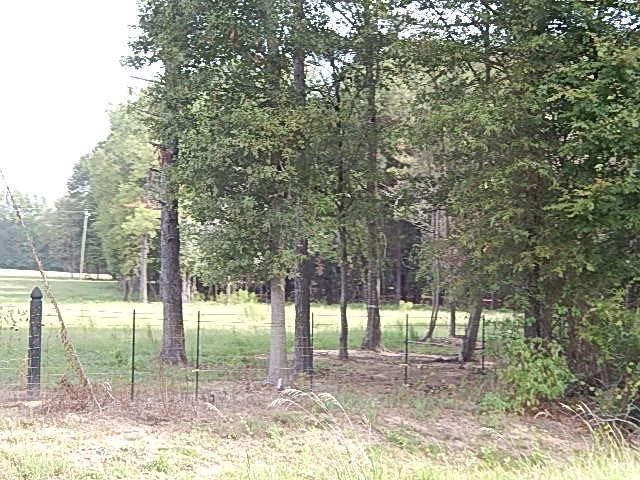 0 Slade Road Lena, MS 39094 - Photo 32 of 40 Photo 32
