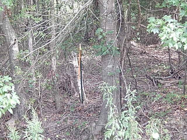 0 Slade Road Lena, MS 39094 - Photo 33 of 40 Photo 33