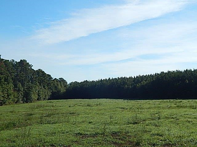 0 Slade Road Lena, MS 39094 - Photo 34 of 40 Photo 34