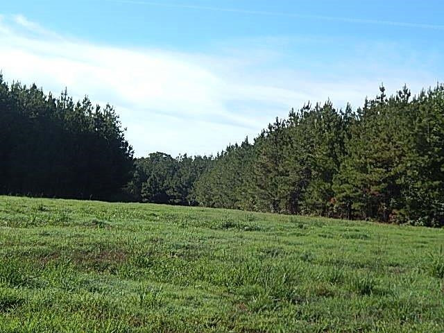 0 Slade Road Lena, MS 39094 - Photo 35 of 40 Photo 35