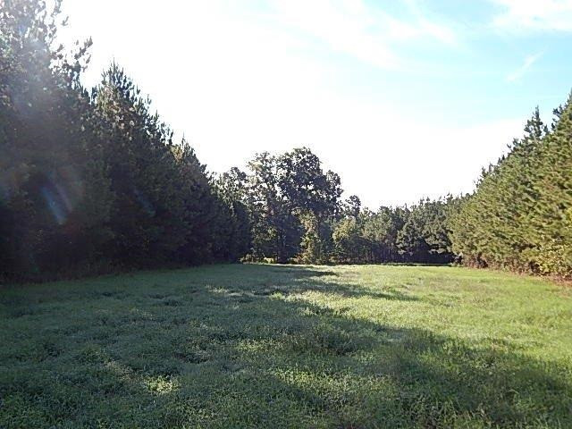 0 Slade Road Lena, MS 39094 - Photo 36 of 40 Photo 36