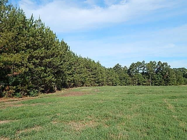0 Slade Road Lena, MS 39094 - Photo 37 of 40 Photo 37