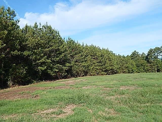 0 Slade Road Lena, MS 39094 - Photo 38 of 40 Photo 38