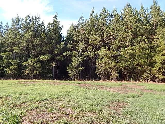 0 Slade Road Lena, MS 39094 - Photo 39 of 40 Photo 39