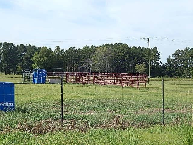 0 Slade Road Lena, MS 39094 - Photo 6 of 40 Photo 6