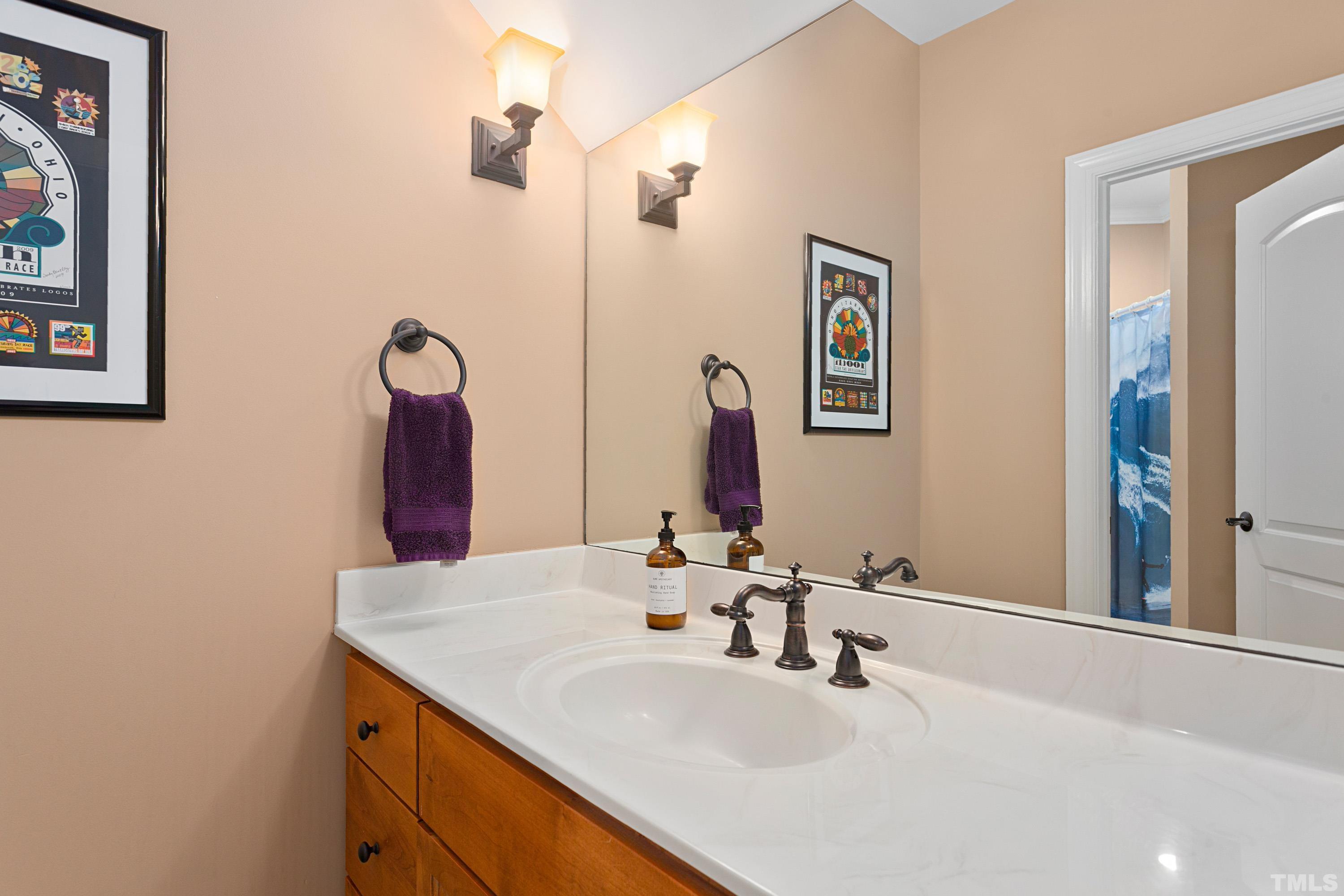 4328 Summer Brook Drive Apex, NC 27539 - Photo 43 of 76 a bathroom with a sink and a mirror