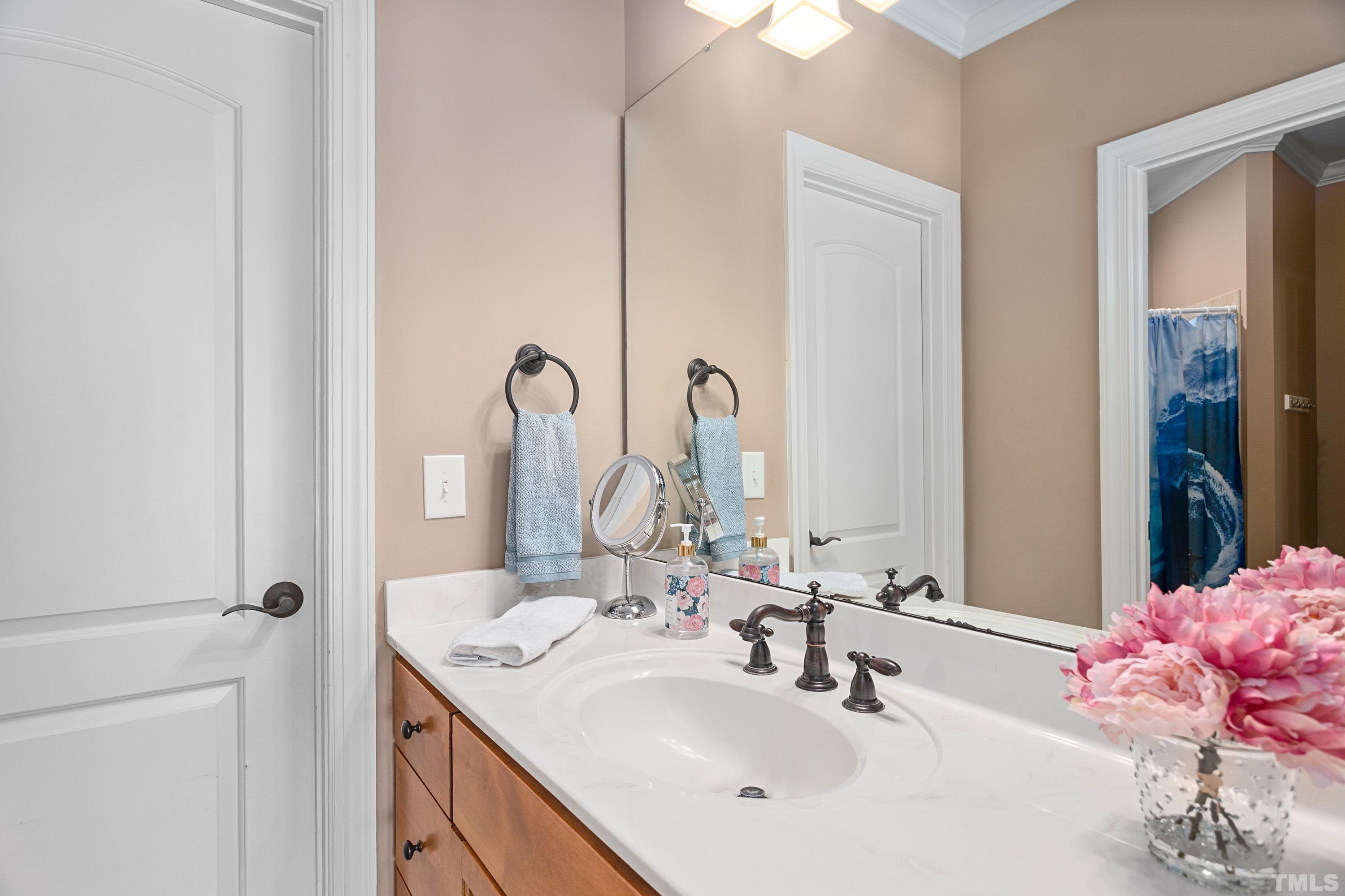 4328 Summer Brook Drive Apex, NC 27539 - Photo 45 of 76 a bathroom with a sink and a mirror