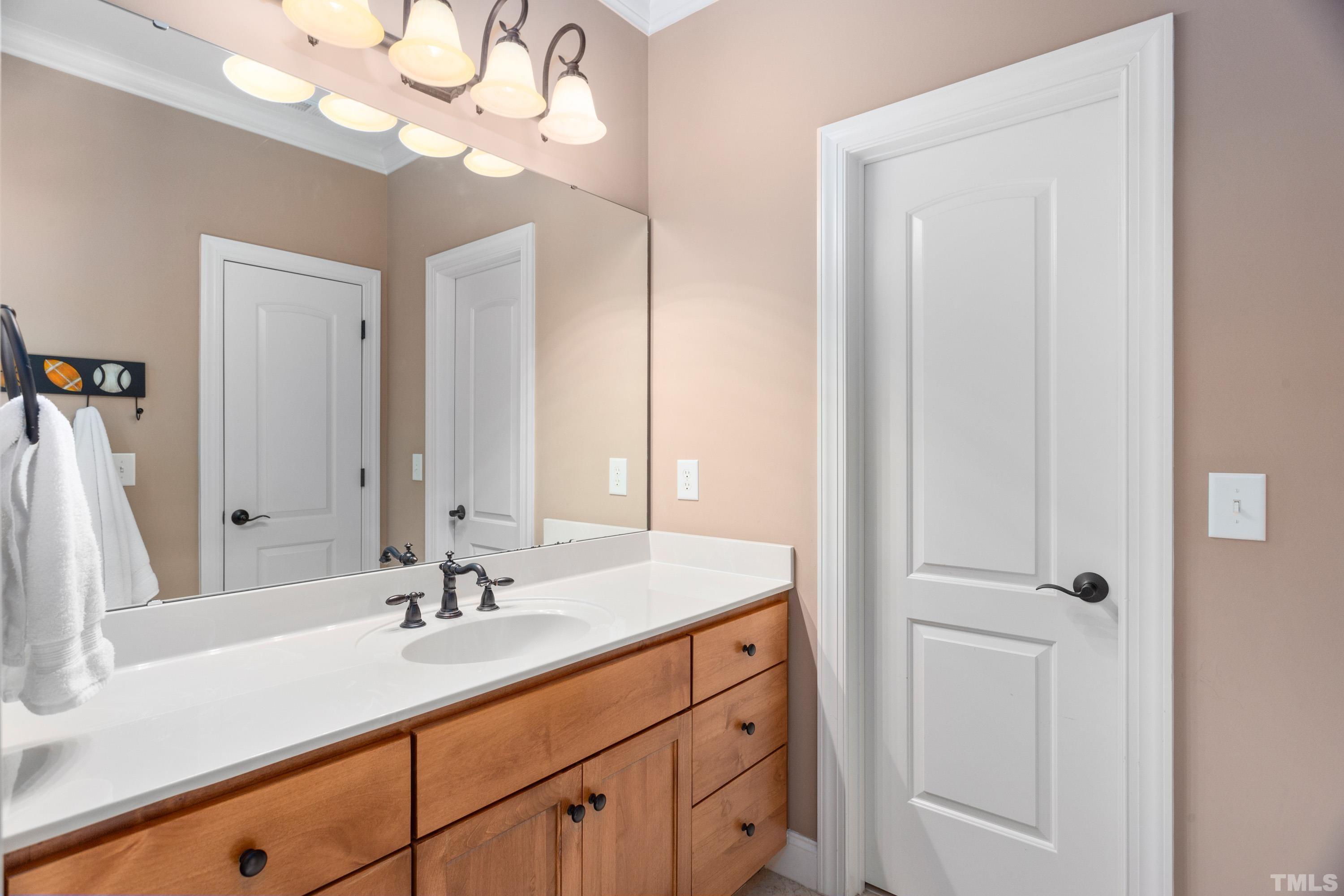 4328 Summer Brook Drive Apex, NC 27539 - Photo 49 of 76 a bathroom with a sink vanity and a mirror