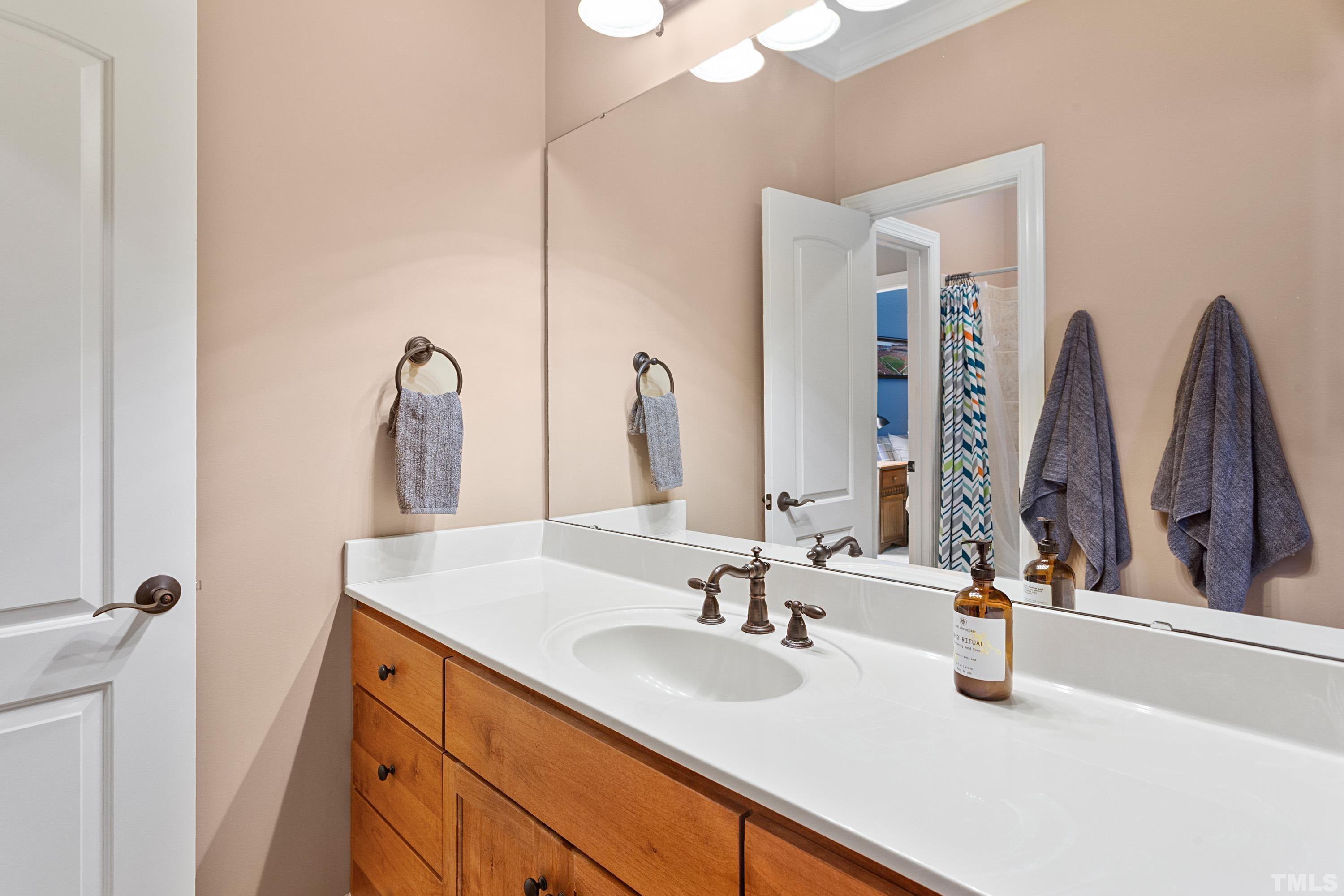 4328 Summer Brook Drive Apex, NC 27539 - Photo 51 of 76 a bathroom with double vanity sinks and a mirror