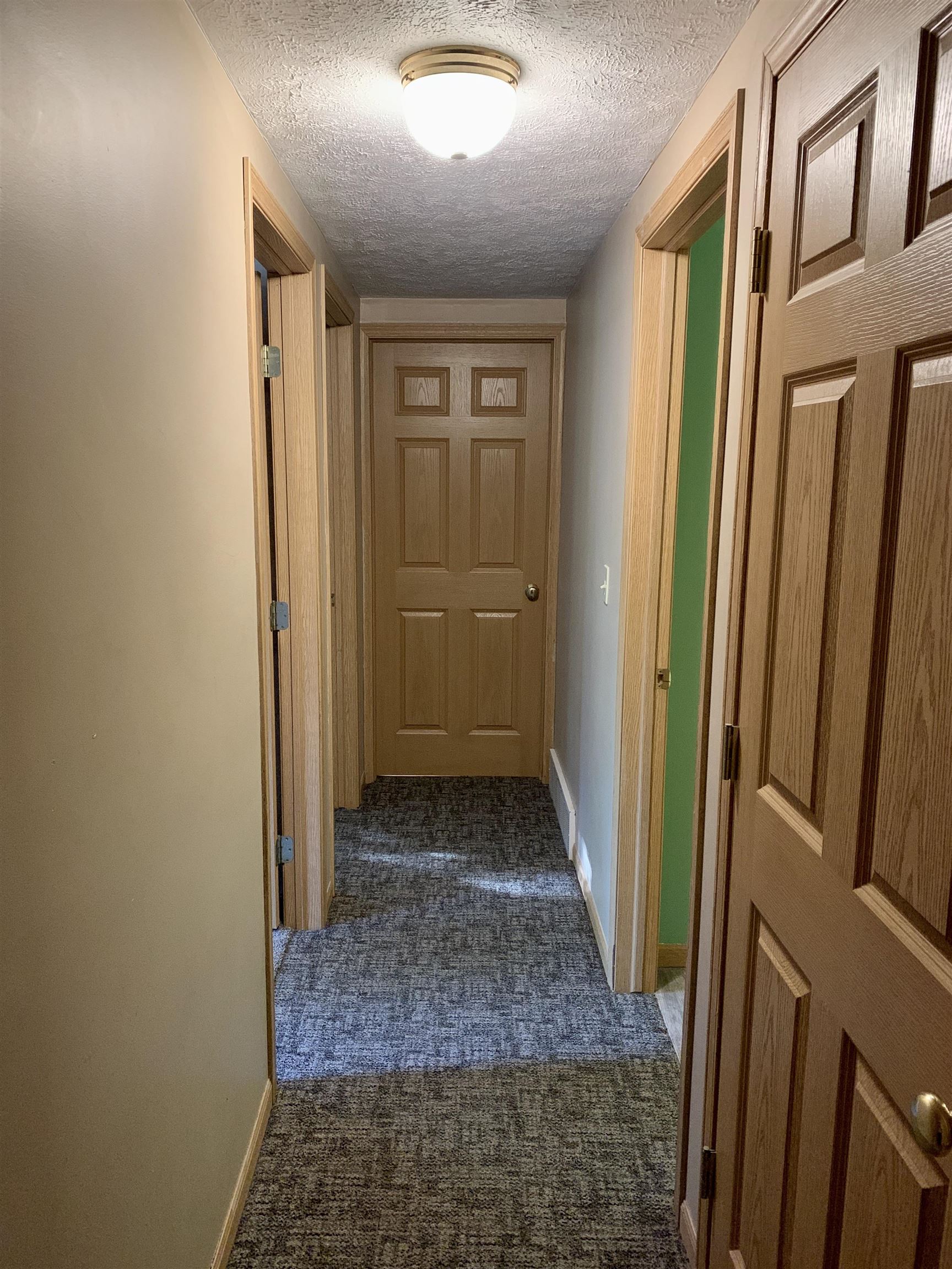 4669-4671 Ski View Circle Cedar, MI 49621 - Photo 29 of 69 1900906-28.JPG