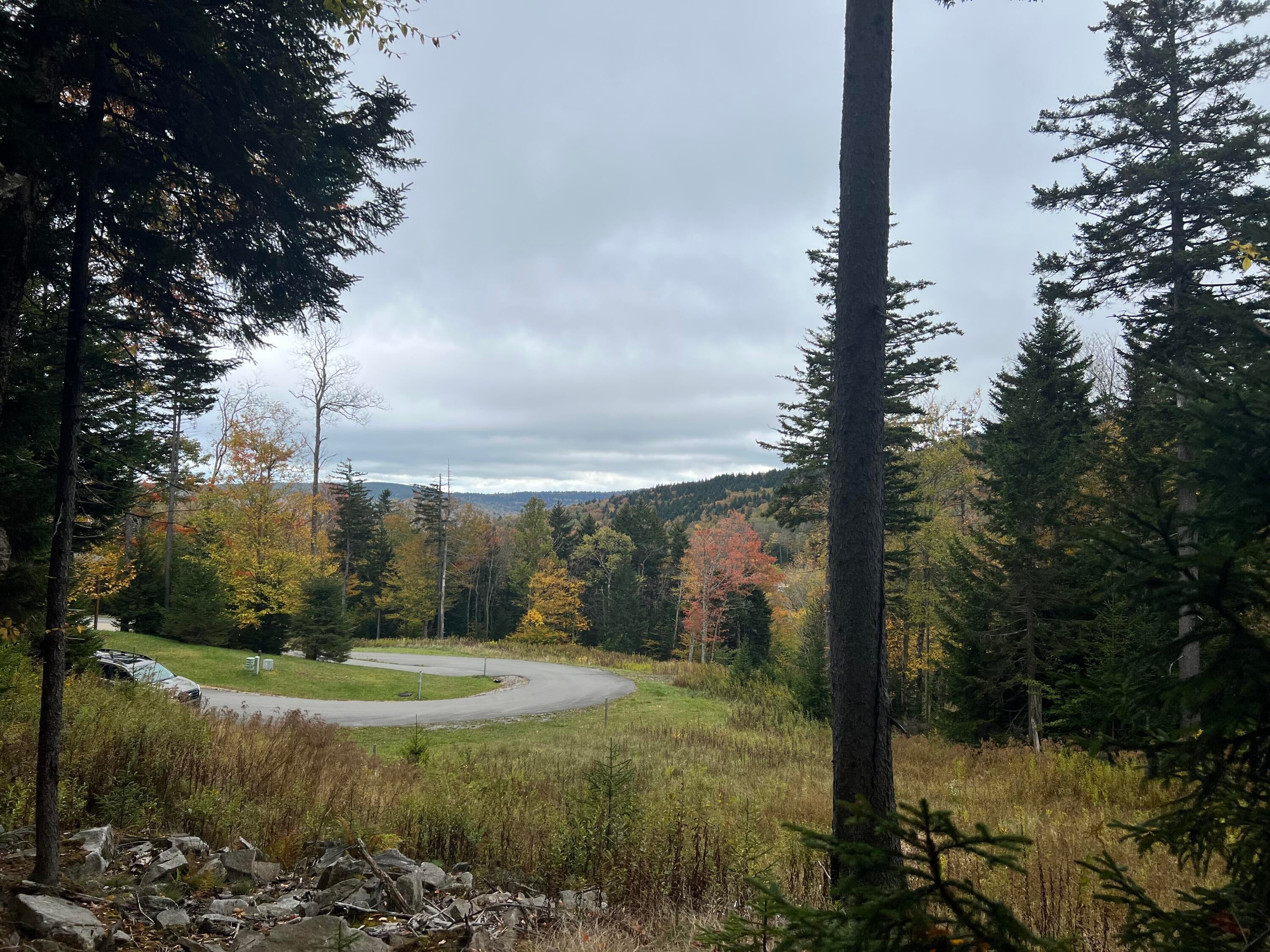 Lot 15 Silver Mountain Road Slatyfork, WV 26291 - Photo 1 of 5 Gallery Image 1