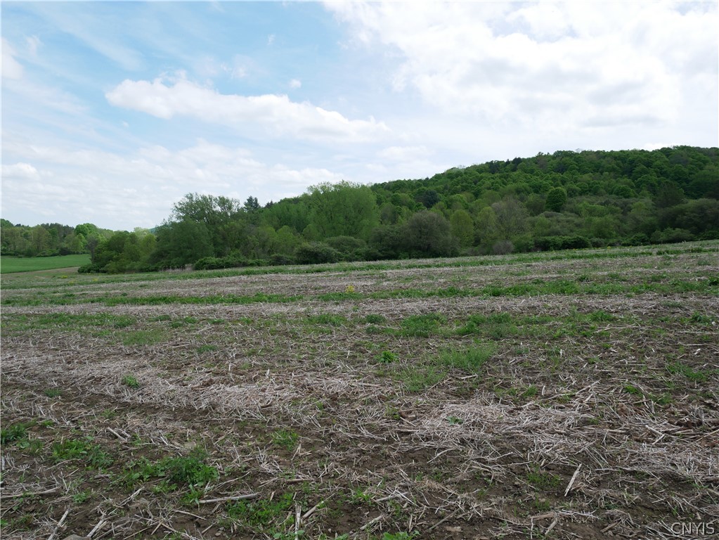 7052 Highway 20 Madison, NY 13310 - Photo 13 of 47