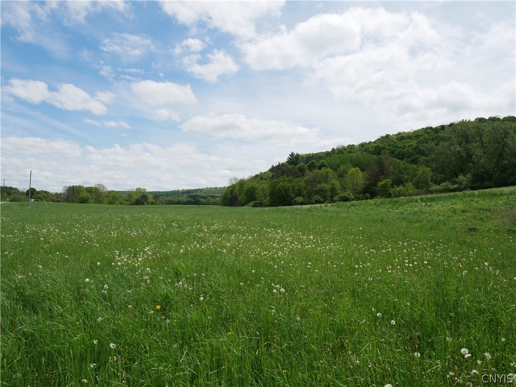 7052 Highway 20 Madison, NY 13310 - Photo 7 of 47 49 scenic acres