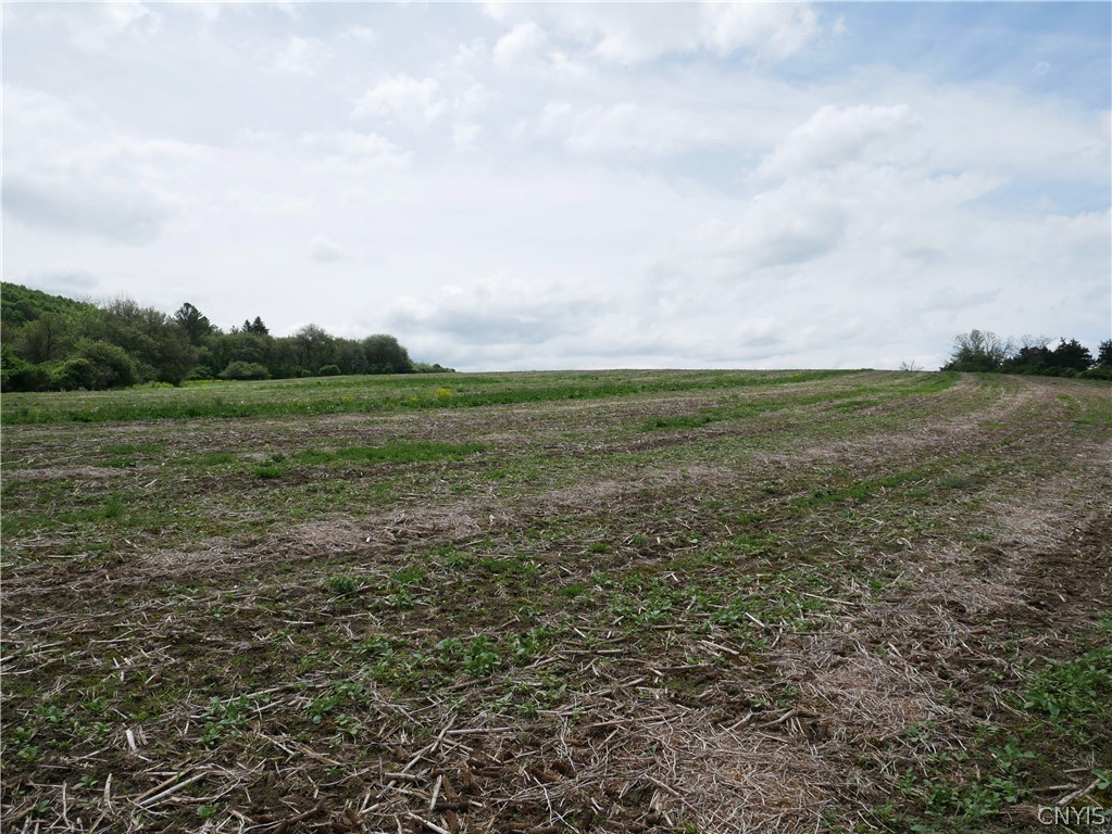 7052 Highway 20 Madison, NY 13310 - Photo 8 of 47 20+- tillable acres