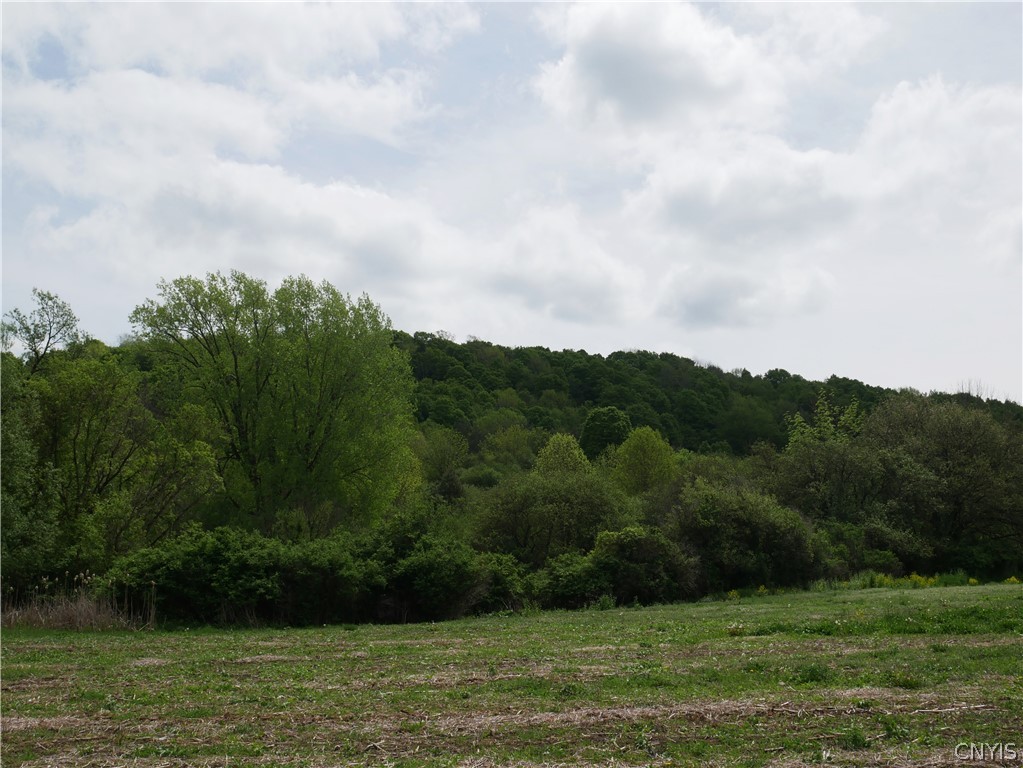 7052 Highway 20 Madison, NY 13310 - Photo 9 of 47