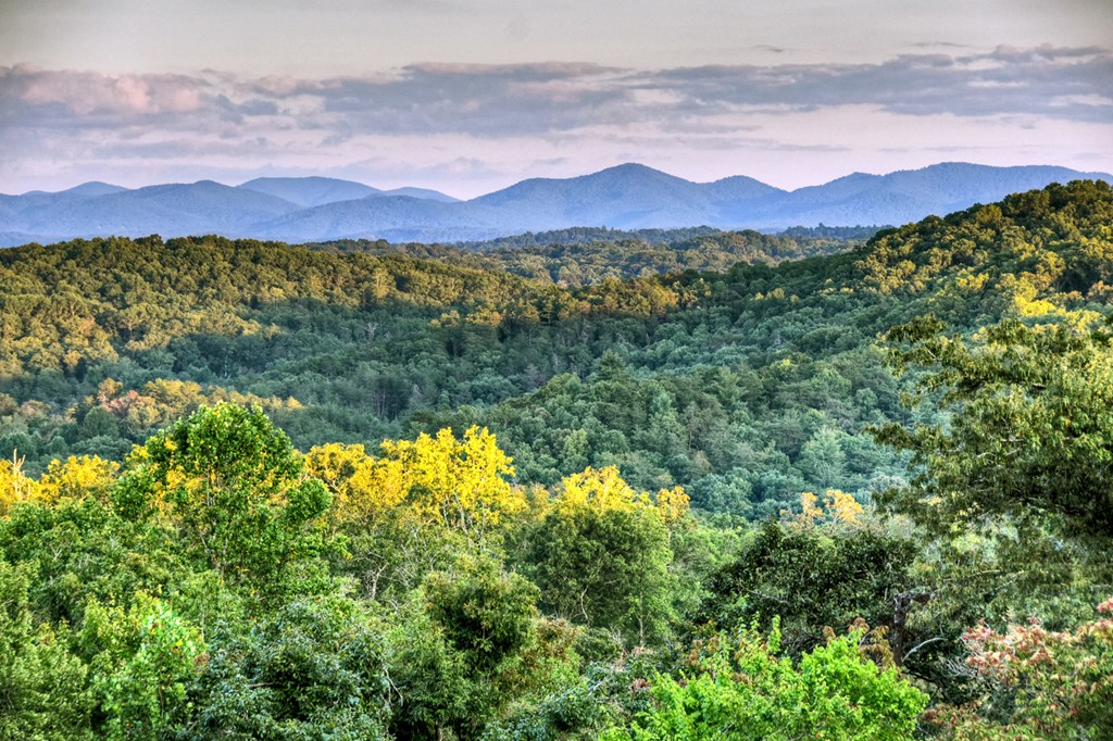 100 Haven Lane Blue Ridge, GA 30513 - Photo 3 of 83