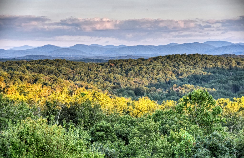 100 Haven Lane Blue Ridge, GA 30513 - Photo 41 of 83