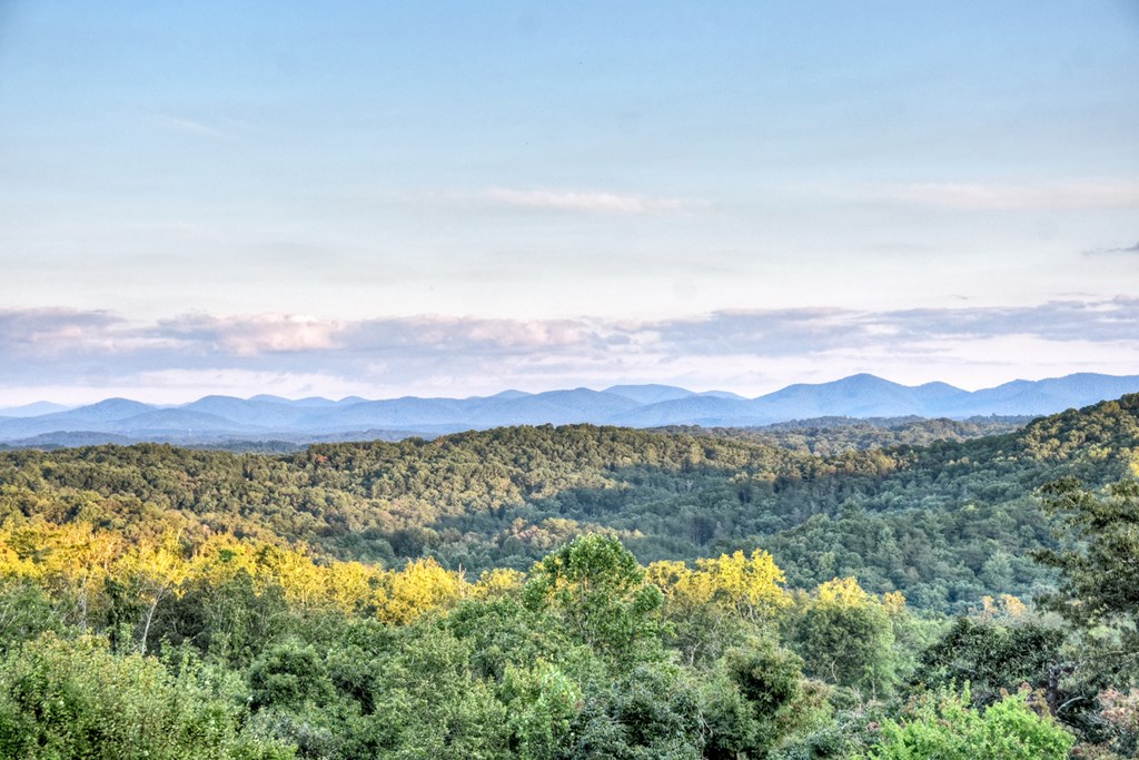 100 Haven Lane Blue Ridge, GA 30513 - Photo 70 of 83